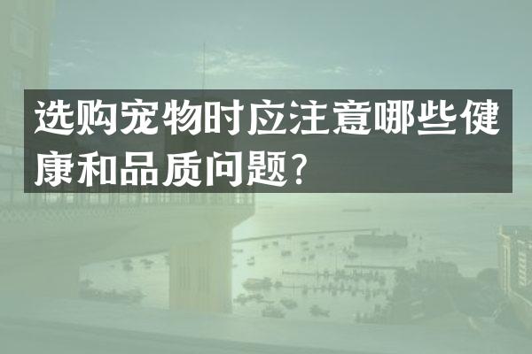 选购宠物时应注意哪些健康和品质问题？