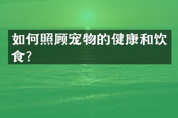 如何照顾宠物的健康和饮食？