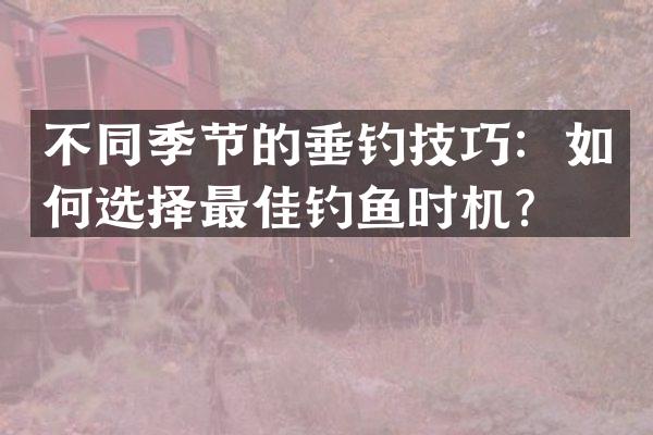 不同季节的垂钓技巧：如何选择最佳钓鱼时机？