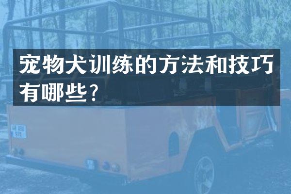 宠物犬训练的方法和技巧有哪些？