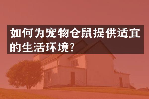 如何为宠物仓鼠提供适宜的生活环境？