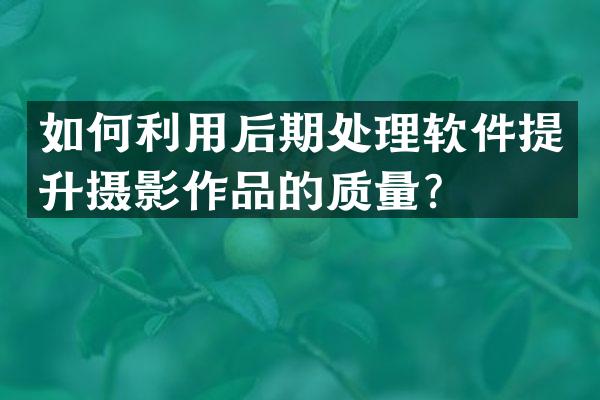 如何利用后期处理软件提升摄影作品的质量？