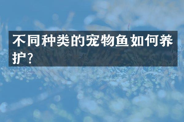 不同种类的宠物鱼如何养护？