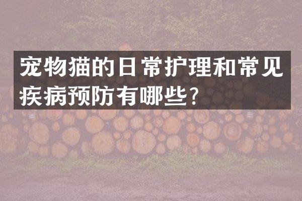 宠物猫的日常护理和常见疾病预防有哪些？