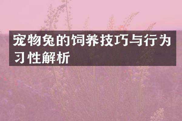 宠物兔的饲养技巧与行为习性解析