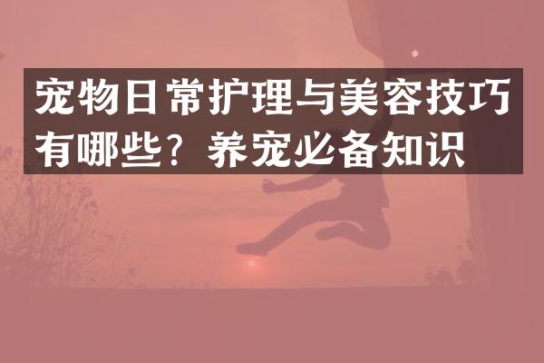 宠物日常护理与美容技巧有哪些？养宠必备知识。