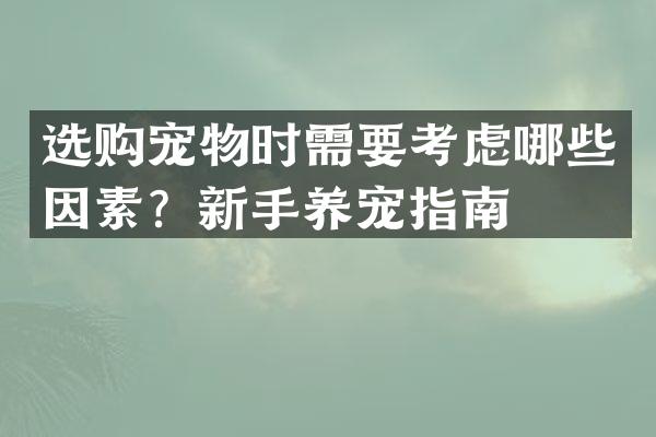 选购宠物时需要考虑哪些因素？新手养宠指南