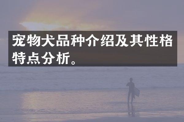 宠物犬品种介绍及其性格特点分析。