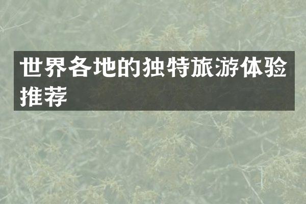 世界各地的独特旅游体验推荐