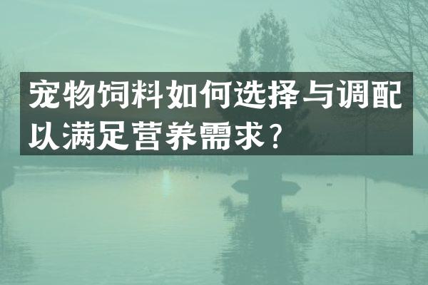 宠物饲料如何选择与调配以满足营养需求？