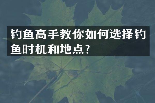 钓鱼高手教你如何选择钓鱼时机和地点？