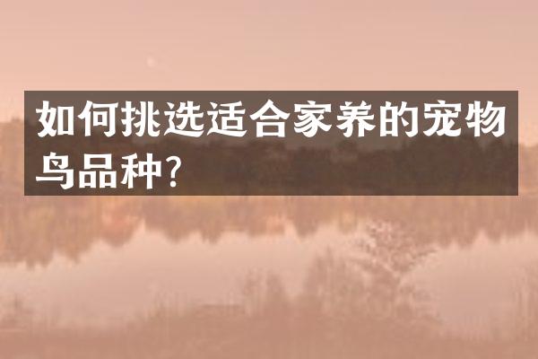 如何挑选适合家养的宠物鸟品种？