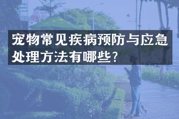 宠物常见疾病预防与应急处理方法有哪些？