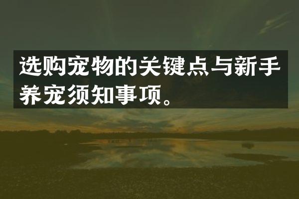 选购宠物的关键点与新手养宠须知事项。
