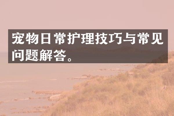 宠物日常护理技巧与常见问题解答。