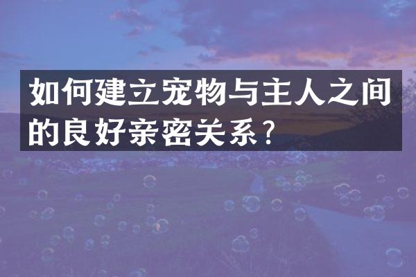 如何建立宠物与主人之间的良好亲密关系？