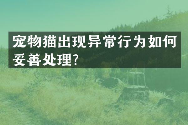 宠物猫出现异常行为如何妥善处理？