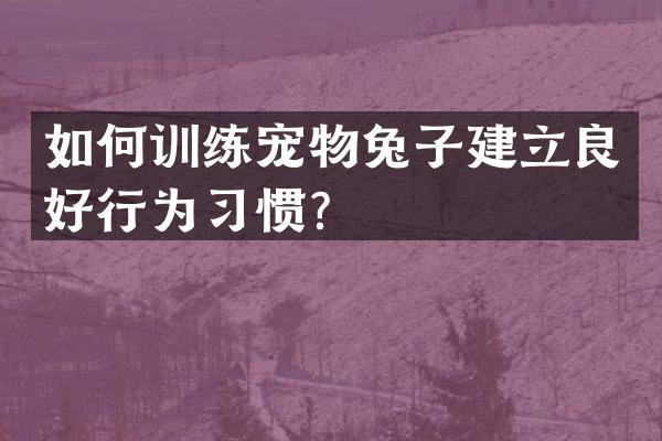 如何训练宠物兔子建立良好行为习惯？