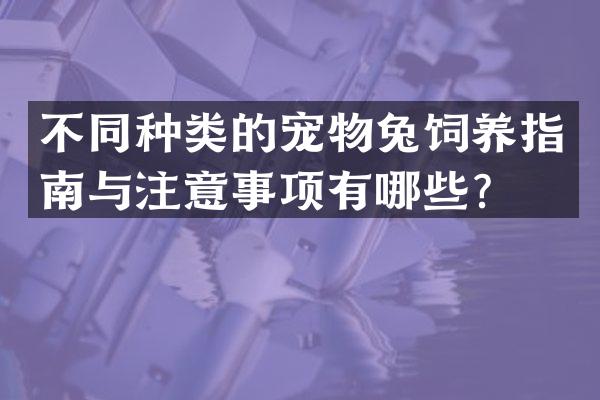 不同种类的宠物兔饲养指南与注意事项有哪些？