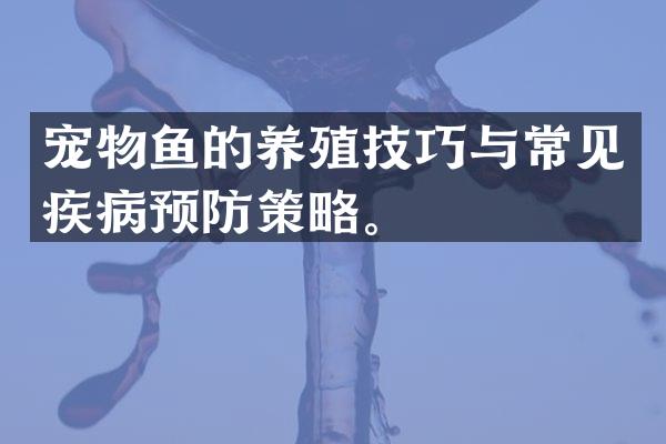 宠物鱼的养殖技巧与常见疾病预防策略。