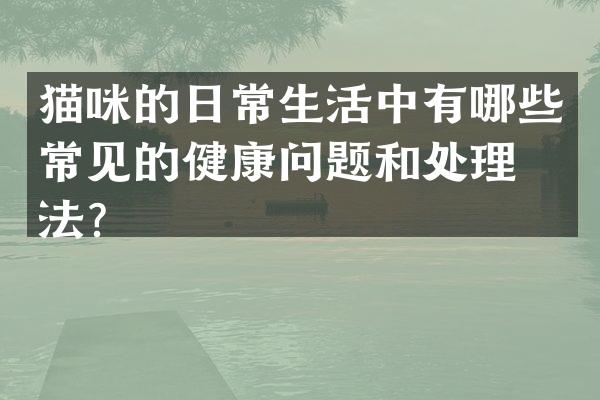 猫咪的日常生活中有哪些常见的健康问题和处理方法？