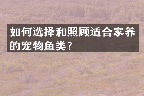 如何选择和照顾适合家养的宠物鱼类？