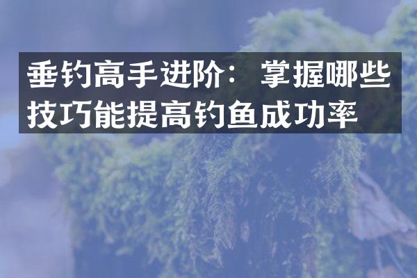 垂钓高手进阶：掌握哪些技巧能提高钓鱼成功率？