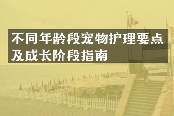 不同年龄段宠物护理要点及成长阶段指南