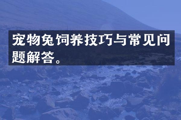 宠物兔饲养技巧与常见问题解答。