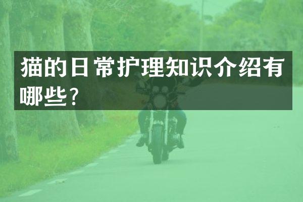 猫的日常护理知识介绍有哪些？
