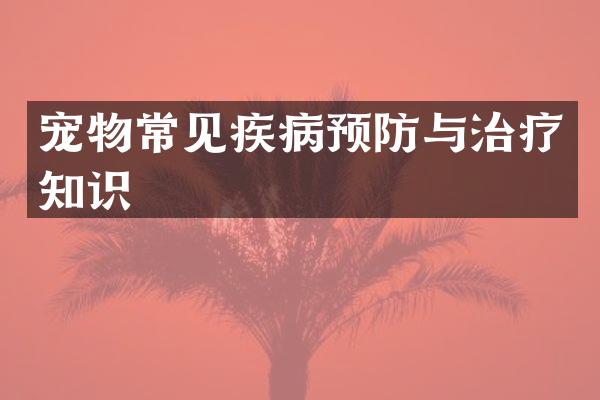 宠物常见疾病预防与治疗知识
