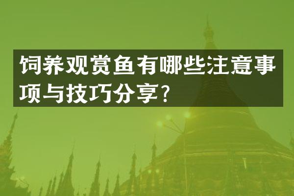 饲养观赏鱼有哪些注意事项与技巧分享？