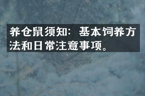 养仓鼠须知：基本饲养方法和日常注意事项。
