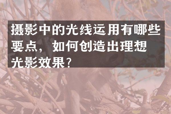 摄影中的光线运用有哪些要点，如何创造出理想的光影效果？