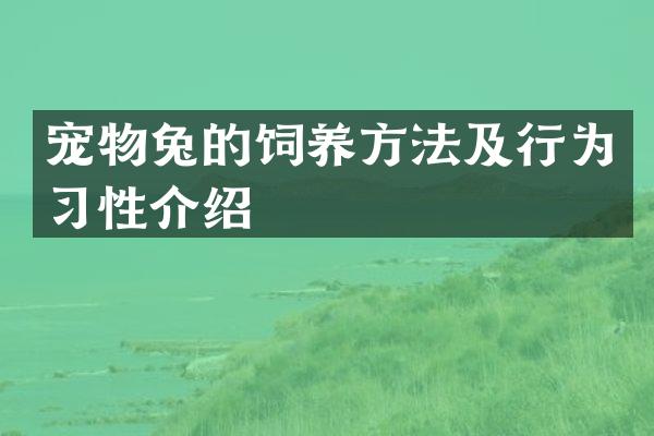 宠物兔的饲养方法及行为习性介绍
