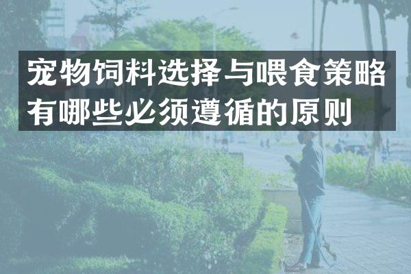 宠物饲料选择与喂食策略有哪些必须遵循的原则？