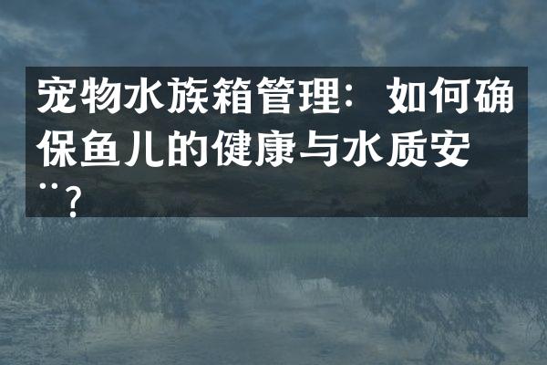 宠物水族箱管理：如何确保鱼儿的健康与水质安全？