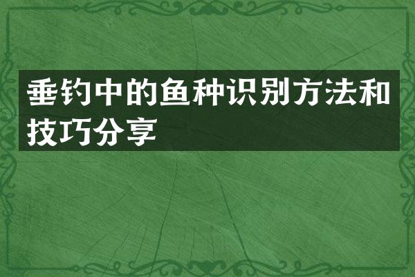 垂钓中的鱼种识别方法和技巧分享