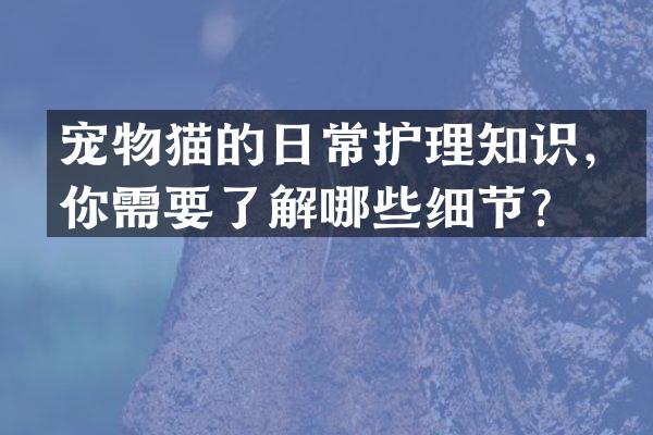 宠物猫的日常护理知识，你需要了解哪些细节？