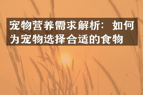 宠物营养需求解析：如何为宠物选择合适的食物？
