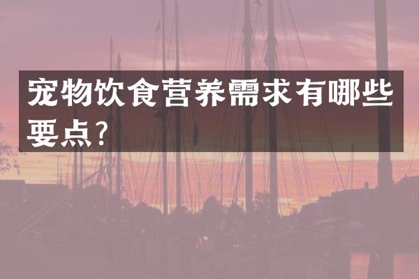 宠物饮食营养需求有哪些要点？