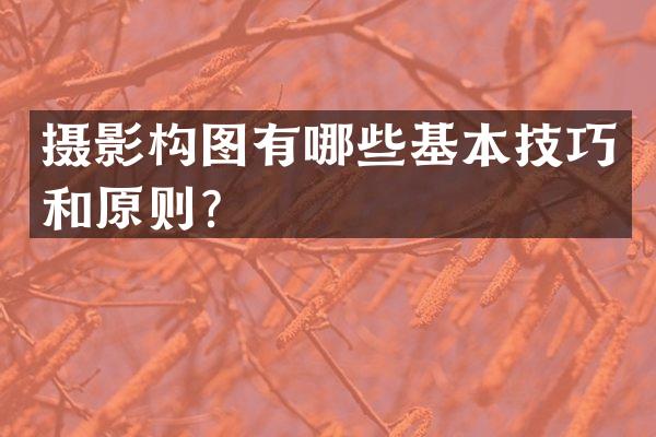 摄影构图有哪些基本技巧和原则？