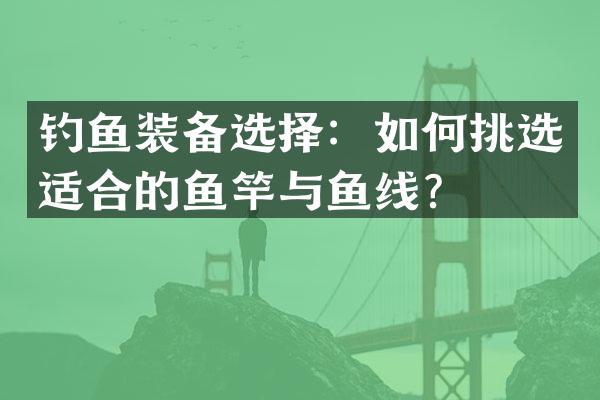 钓鱼装备选择：如何挑选适合的鱼竿与鱼线？