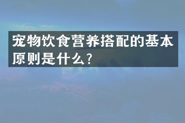 宠物饮食营养搭配的基本原则是什么？