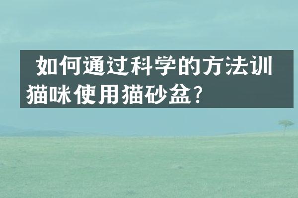  如何通过科学的方法训练猫咪使用猫砂盆？