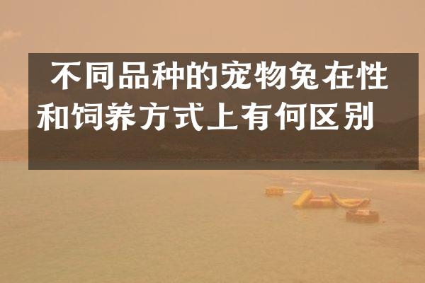  不同品种的宠物兔在性格和饲养方式上有何区别？