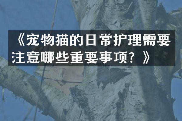 《宠物猫的日常护理需要注意哪些重要事项？》