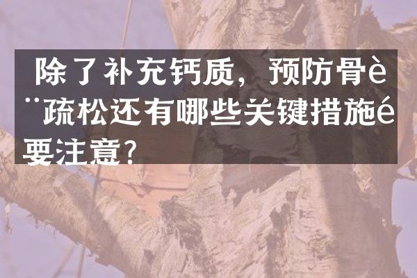  除了补充钙质，预防骨质疏松还有哪些关键措施需要注意？