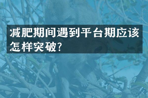 减肥期间遇到平台期应该怎样突破？