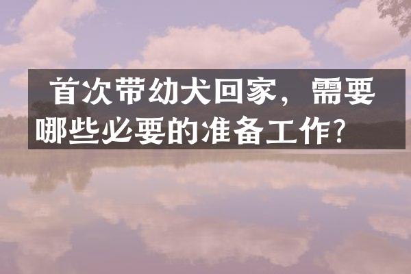首次带幼犬回家,需要做哪些必要的准备工作?